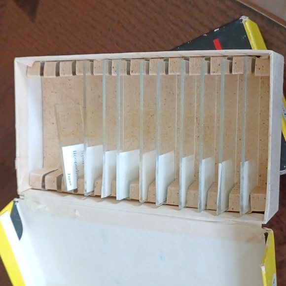 Microscope slides - Picture 8 of 8